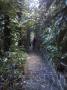 gal/Ile Maurice/_thb_SP_A0226_Reserve_des_Mascareignes.jpg